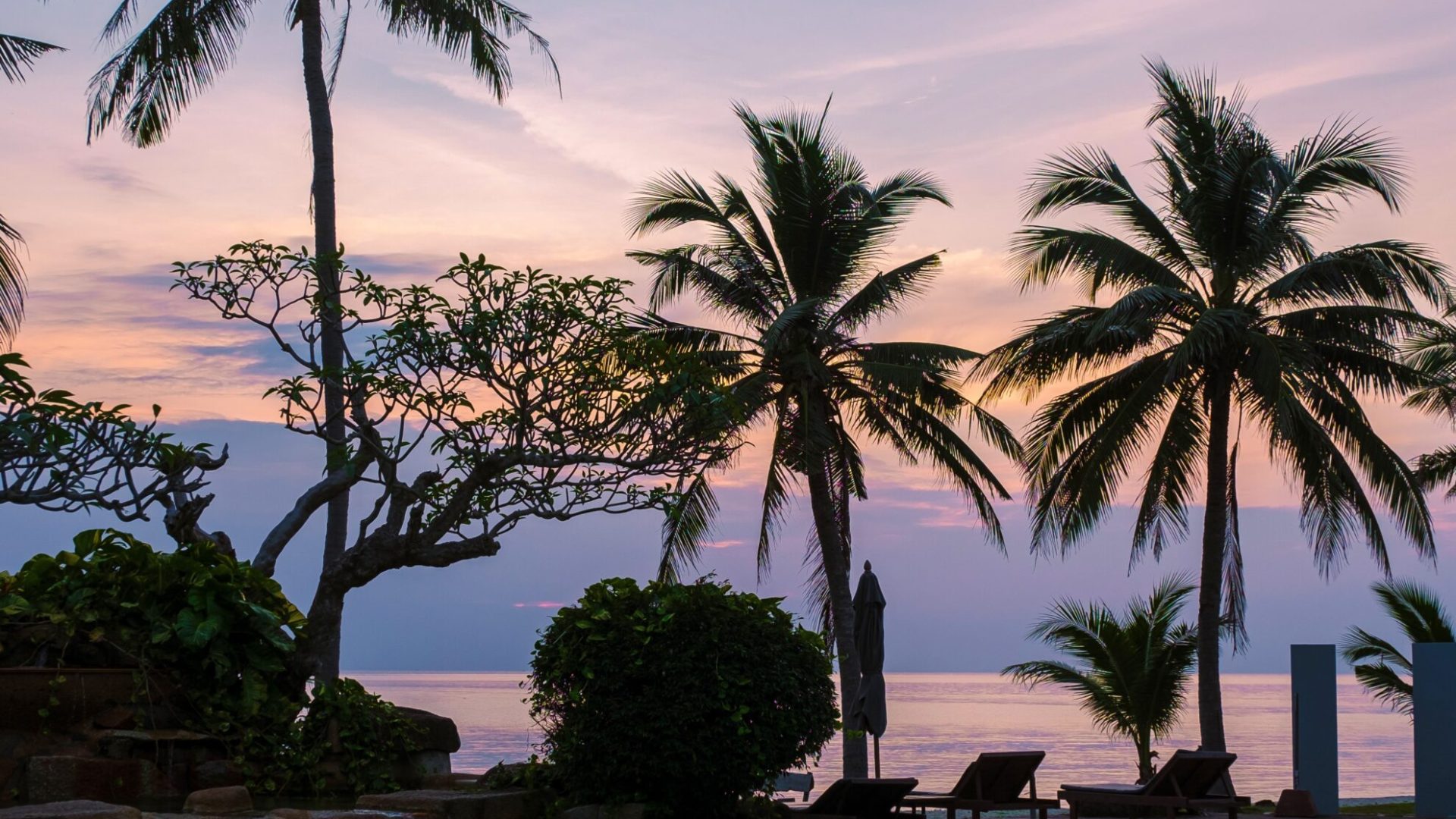 palm-trees-invest-in-bali-property